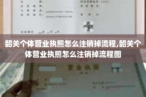 韶关个体营业执照怎么注销掉流程,韶关个体营业执照怎么注销掉流程图