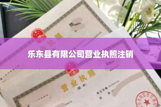 乐东县有限公司营业执照注销