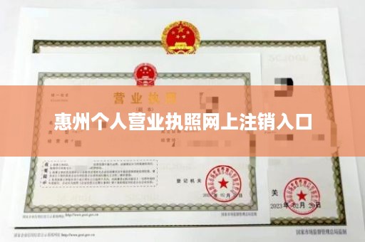 惠州个人营业执照网上注销入口