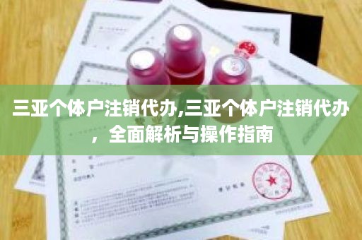 三亚个体户注销代办,三亚个体户注销代办，全面解析与操作指南