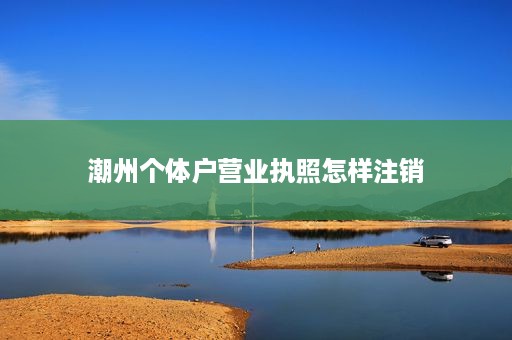 潮州个体户营业执照怎样注销