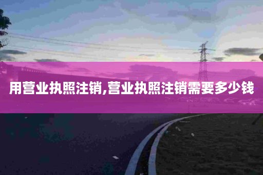 用营业执照注销,营业执照注销需要多少钱