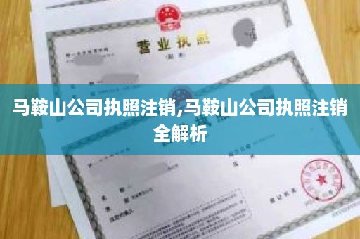 马鞍山公司执照注销,马鞍山公司执照注销全解析