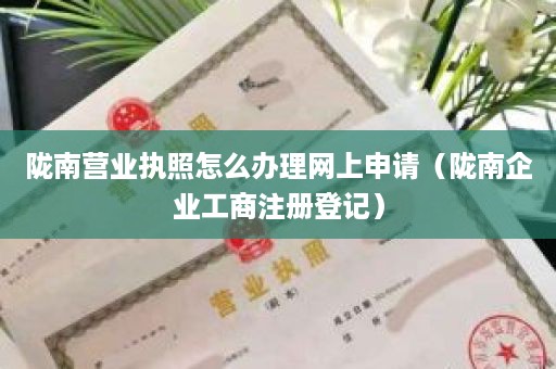 陇南营业执照怎么办理网上申请（陇南企业工商注册登记）