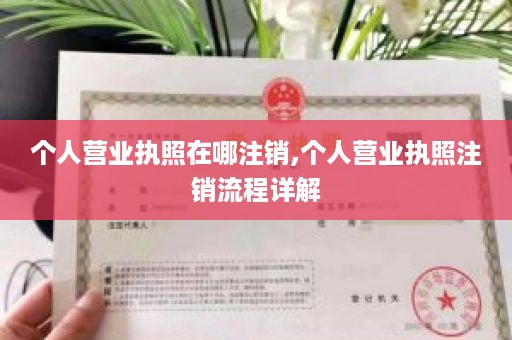 个人营业执照在哪注销,个人营业执照注销流程详解
