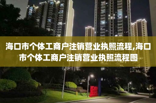 海口市个体工商户注销营业执照流程,海口市个体工商户注销营业执照流程图