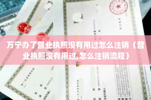 万宁办了营业执照没有用过怎么注销（营业执照没有用过,怎么注销流程）