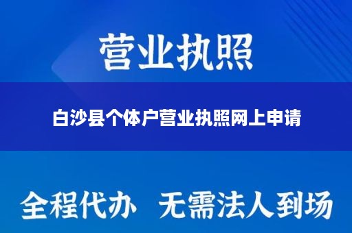白沙县个体户营业执照网上申请