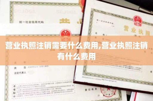 营业执照注销需要什么费用,营业执照注销有什么费用