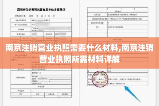 南京注销营业执照需要什么材料,南京注销营业执照所需材料详解