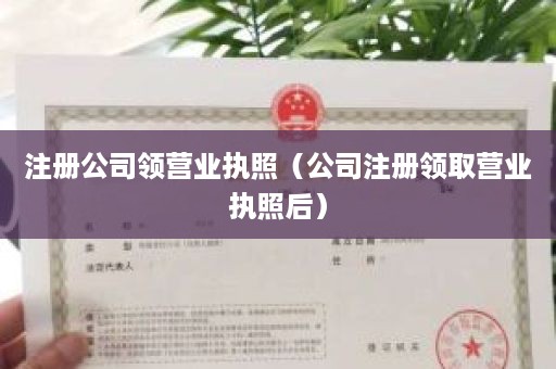 注册公司领营业执照（公司注册领取营业执照后）