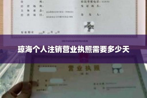 琼海个人注销营业执照需要多少天