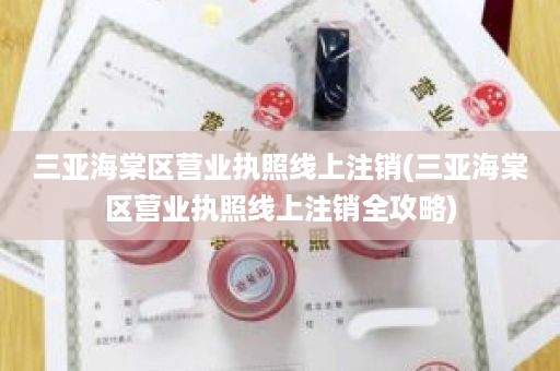 三亚海棠区营业执照线上注销(三亚海棠区营业执照线上注销全攻略)