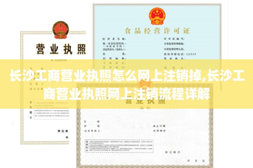 长沙工商营业执照怎么网上注销掉,长沙工商营业执照网上注销流程详解