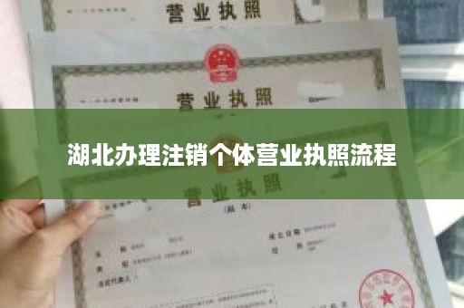 湖北办理注销个体营业执照流程