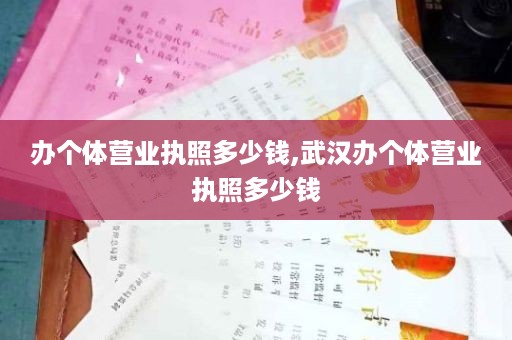 办个体营业执照多少钱,武汉办个体营业执照多少钱