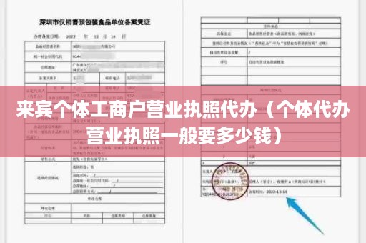 来宾个体工商户营业执照代办（个体代办营业执照一般要多少钱）