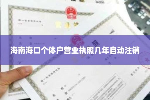 海南海口个体户营业执照几年自动注销