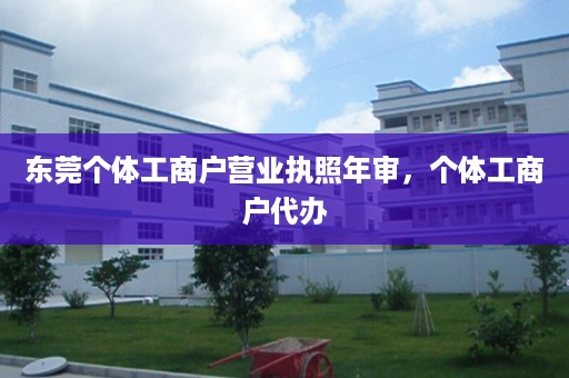 东莞个体工商户营业执照年审，个体工商户代办