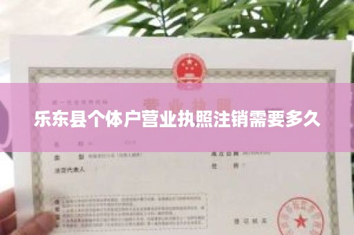 乐东县个体户营业执照注销需要多久