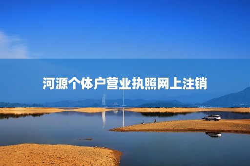 河源个体户营业执照网上注销