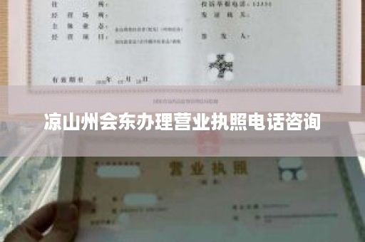 凉山州会东办理营业执照电话咨询