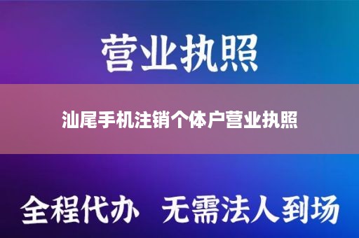 汕尾手机注销个体户营业执照