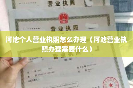 河池个人营业执照怎么办理（河池营业执照办理需要什么）
