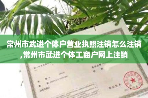 常州市武进个体户营业执照注销怎么注销,常州市武进个体工商户网上注销