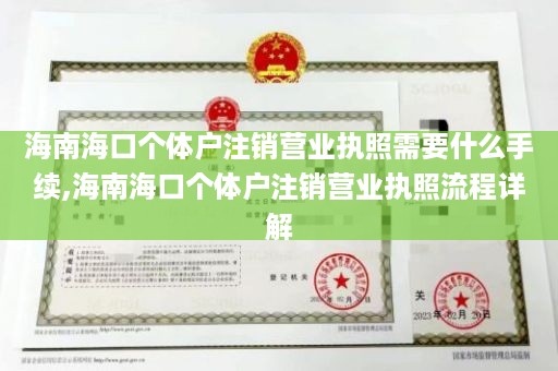海南海口个体户注销营业执照需要什么手续,海南海口个体户注销营业执照流程详解