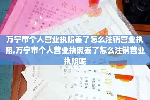 万宁市个人营业执照丢了怎么注销营业执照,万宁市个人营业执照丢了怎么注销营业执照呢