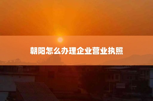 朝阳怎么办理企业营业执照