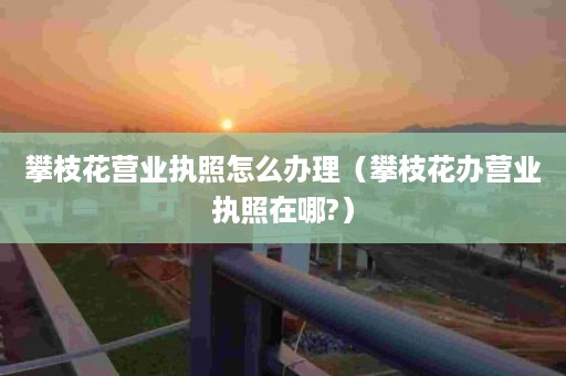 攀枝花营业执照怎么办理（攀枝花办营业执照在哪?）