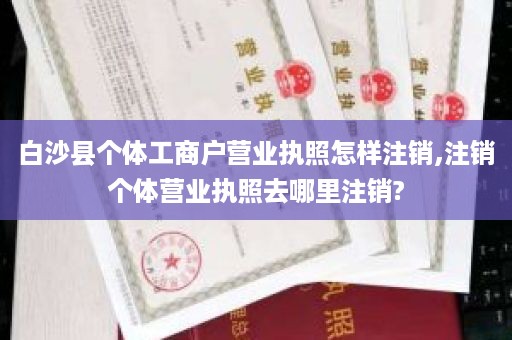 白沙县个体工商户营业执照怎样注销,注销个体营业执照去哪里注销?