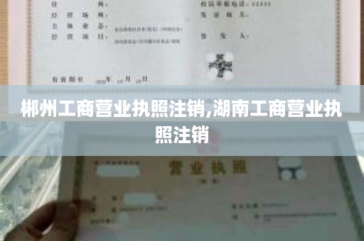 郴州工商营业执照注销,湖南工商营业执照注销