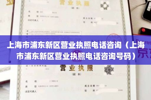 上海市浦东新区营业执照电话咨询（上海市浦东新区营业执照电话咨询号码）