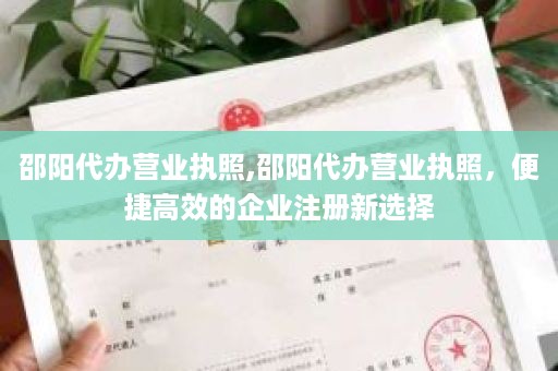 邵阳代办营业执照,邵阳代办营业执照，便捷高效的企业注册新选择
