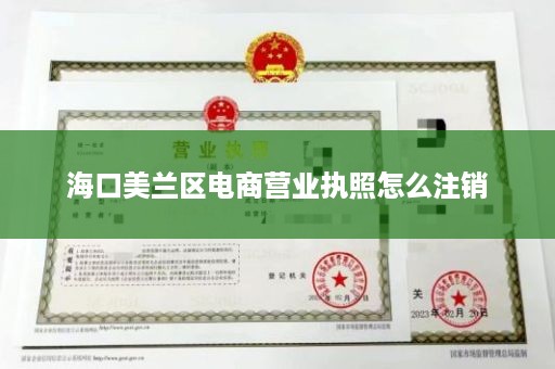 海口美兰区电商营业执照怎么注销