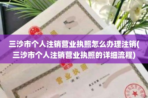三沙市个人注销营业执照怎么办理注销(三沙市个人注销营业执照的详细流程)