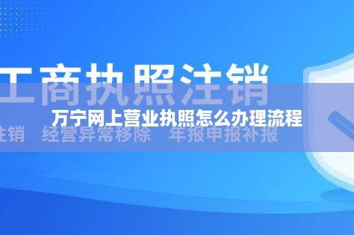 万宁网上营业执照怎么办理流程