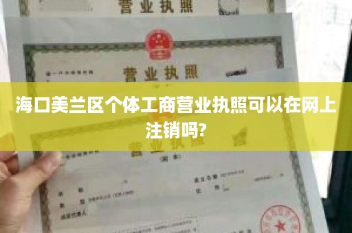 海口美兰区个体工商营业执照可以在网上注销吗?