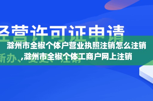 滁州市全椒个体户营业执照注销怎么注销,滁州市全椒个体工商户网上注销