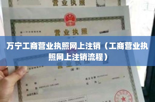万宁工商营业执照网上注销（工商营业执照网上注销流程）