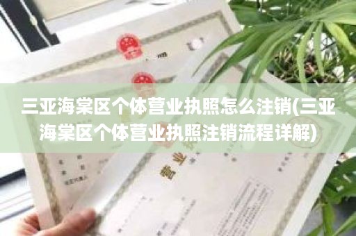 三亚海棠区个体营业执照怎么注销(三亚海棠区个体营业执照注销流程详解)