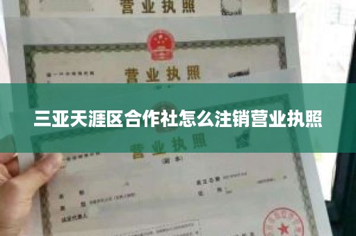 三亚天涯区合作社怎么注销营业执照