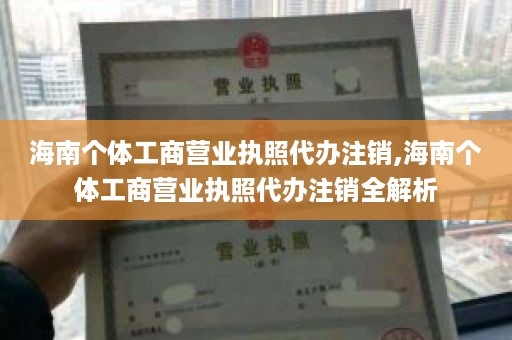 海南个体工商营业执照代办注销,海南个体工商营业执照代办注销全解析