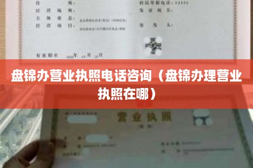 盘锦办营业执照电话咨询（盘锦办理营业执照在哪）