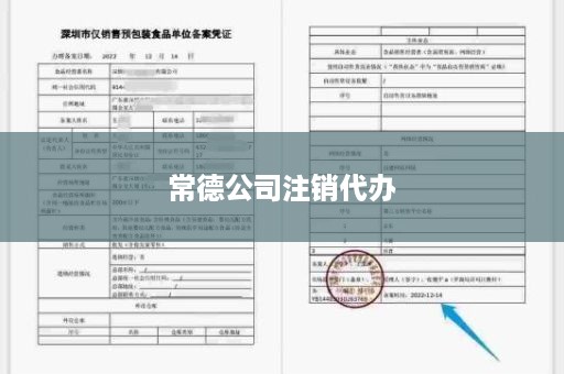 常德公司注销代办