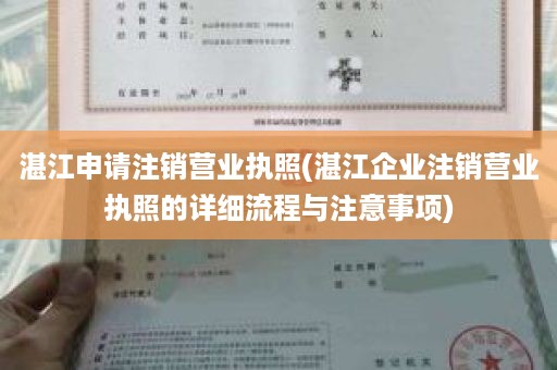 湛江申请注销营业执照(湛江企业注销营业执照的详细流程与注意事项)