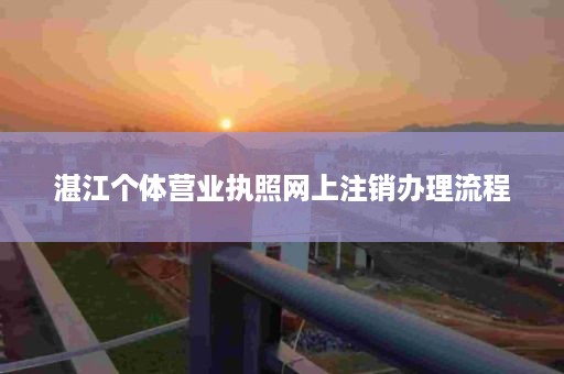 湛江个体营业执照网上注销办理流程